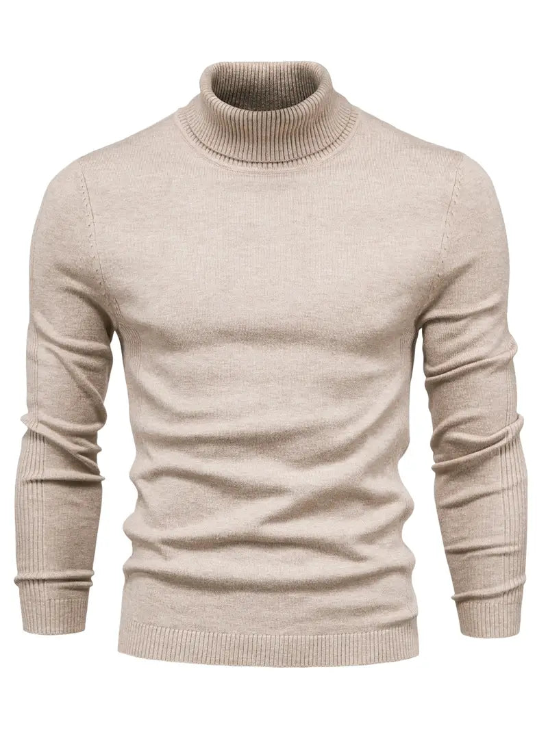 Herren Pullover mit Rollkragen | Lange Ärmel