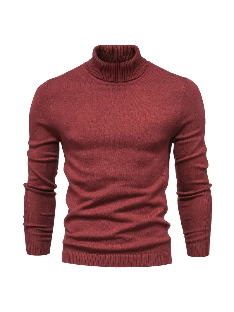 Herren Pullover mit Rollkragen | Lange Ärmel