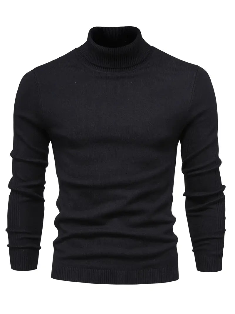 Herren Pullover mit Rollkragen | Lange Ärmel